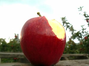 Pomme croquée